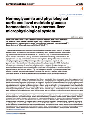 Normoglycemia and physiological cortisone level maintain glucose homeostasis in a pancreas-liver microphysiological system
