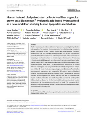 Human induced pluripotent stem cells-derived liver organoids grown on a Biomimesys® hyaluronic acid-based hydroscaffold as a new model for studying human lipoprotein metabolism