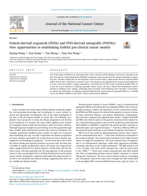Patient-derived organoids (PDOs) and PDO-derived xenografts (PDOXs): New opportunities in establishing faithful pre-clinical cancer models