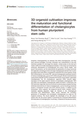 3D organoid cultivation improves the maturation and functional differentiation of cholangiocytes from human pluripotent stem cells