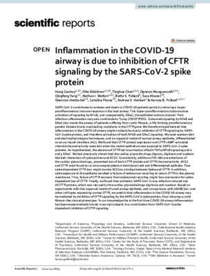 Inflammation in the COVID-19 airway is due to inhibition of CFTR signaling by the SARS-CoV-2 spike protein