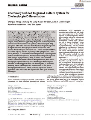 Chemically Defined Organoid Culture System for Cholangiocyte Differentiation