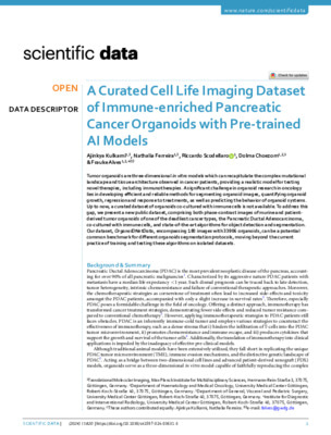 A Curated Cell Life Imaging Dataset of Immune-enriched Pancreatic Cancer Organoids with Pre-trained AI Models