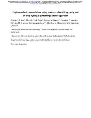 Preprint: Engineered microvasculature using maskless photolithography and on-chip hydrogel patterning: a facile approach