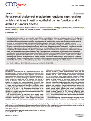 Peroxisomal cholesterol metabolism regulates yap-signaling, which maintains intestinal epithelial barrier function and is altered in Crohn’s disease