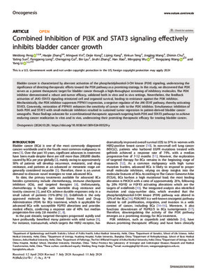 Combined Inhibition of PI3K and STAT3 signaling effectively inhibits bladder cancer growth