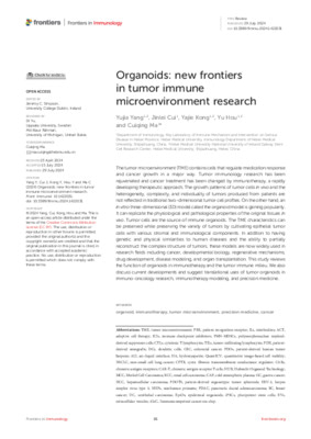 Organoids: new frontiers in tumor immune microenvironment research