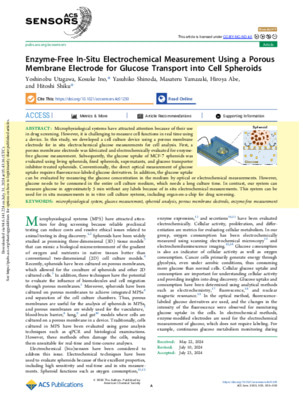 Enzyme-Free In-Situ Electrochemical Measurement Using a Porous Membrane Electrode for Glucose Transport into Cell Spheroids