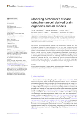 Modeling Alzheimer’s disease using human cell derived brain organoids and 3D models