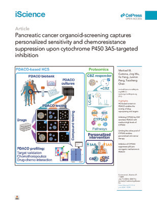 Pancreatic cancer organoid-screening captures personalized sensitivity and chemoresistance suppression upon cytochrome P450 3A5-targeted inhibition