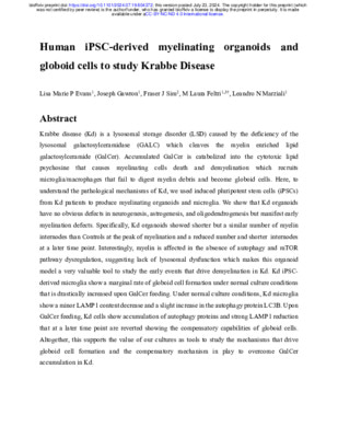 preprint: Human iPSC-derived myelinating organoids and globoid cells to study Krabbe Disease