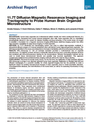 11.7T Diffusion Magnetic Resonance Imaging and Tractography to Probe Human Brain Organoid Microstructure