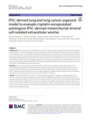 iPSC-derived lung and lung cancer organoid model to evaluate cisplatin encapsulated autologous iPSC-derived mesenchymal stromal cell-isolated extracellular vesicles