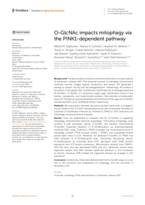 O-GlcNAc impacts mitophagy via the PINK1-dependent pathway