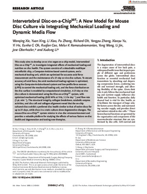 Mouse Disc Culture via Integrating Mechanical Loading and Dynamic Media Flow