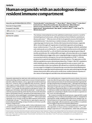 Human organoids with an autologous tissue-resident immune compartment