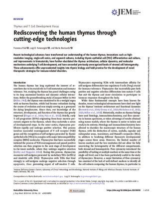 Rediscovering the human thymus through cutting-edge technologies