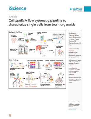 CelltypeR: A flow cytometry pipeline to characterize single cells from brain organoids