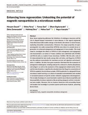 Enhancing bone regeneration: Unleashing the potential of magnetic nanoparticles in a microtissue model