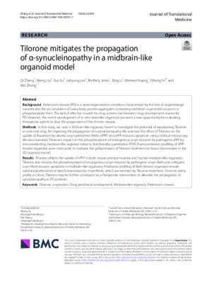 Tilorone mitigates the propagation of α-synucleinopathy in a midbrain-like organoid model