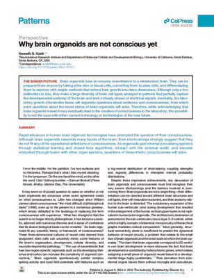 Why brain organoids are not conscious yet