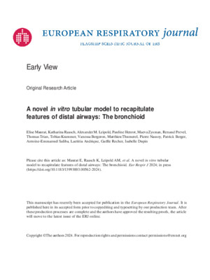 A novel in vitro tubular model to recapitulate features of distal airways: The bronchioid