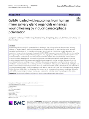 GelMA loaded with exosomes from human minor salivary gland organoids enhances wound healing by inducing macrophage polarization