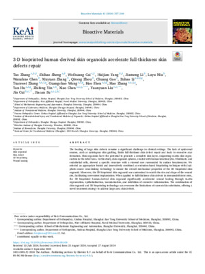 3-D bioprinted human-derived skin organoids accelerate full-thickness skin defects repair