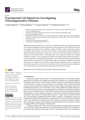 Experimental Cell Models for Investigating Neurodegenerative Diseases