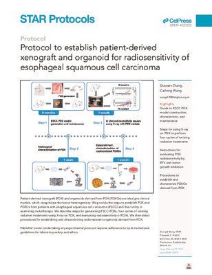 Protocol to establish patient-derived xenograft and organoid for radiosensitivity of esophageal squamous cell carcinoma