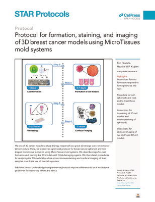 Protocol for formation, staining, and imaging of 3D breast cancer models using MicroTissues mold systems
