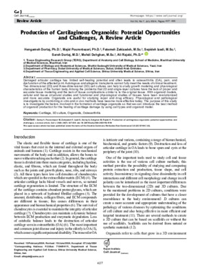 Production of Cartilaginous Organoids: Potential Opportunities and Challenges, A Review Article