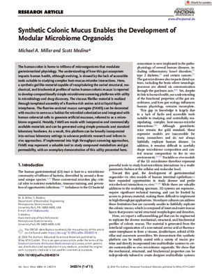 Adv Funct Materials - 2024 - Miller - Synthetic Colonic Mucus Enables the Development of Modular Microbiome Organoids