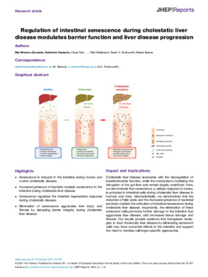 Regulation of intestinal senescence during cholestatic liver disease modulates barrier function and liver disease progression