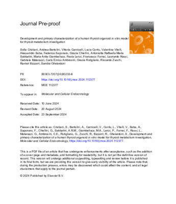 Development and primary characterization of a human thyroid organoid in vitro model for thyroid metabolism investigation