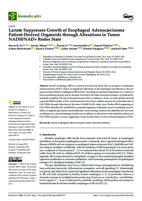 Modeling Epithelial Homeostasis and Perturbation in Three-Dimensional Human Esophageal Organoids