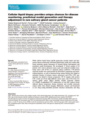 Cellular liquid biopsy provides unique chances for disease monitoring, preclinical model generation and therapy adjustment in rare salivary gland cancer patients