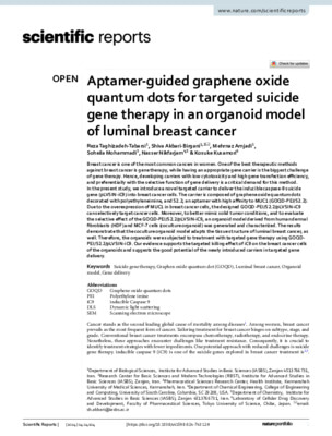 Aptamer-guided graphene oxide quantum dots for targeted suicide gene therapy in an organoid model of luminal breast cancer