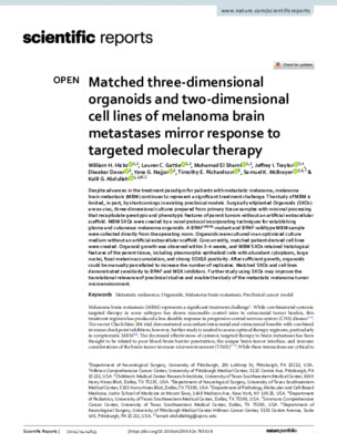 Matched three-dimensional organoids and two-dimensional cell lines of melanoma brain metastases mirror response to targeted molecular therapy