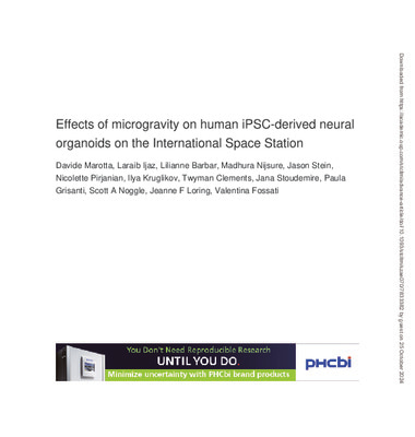 Effects of microgravity on human iPSC-derived neural organoids on the International Space Station