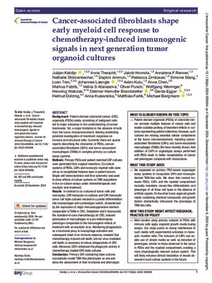 Cancer-associated fibroblasts shape early myeloid cell response to chemotherapy-induced immunogenic signals in next generation tumor organoid cultures