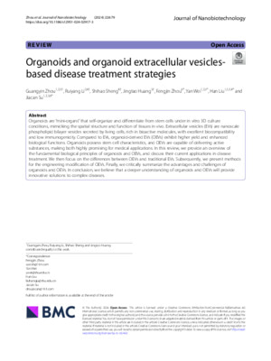 Organoids and organoid extracellular vesicles-based disease treatment strategies