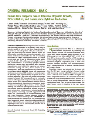 Human Milk Supports Robust Intestinal Organoid Growth, Differentiation, and Homeostatic Cytokine Production