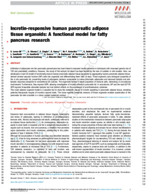 Incretin-responsive human pancreatic adipose tissue organoids: a functional model for fatty pancreas research