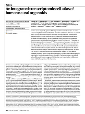 An integrated transcriptomic cell atlas of human neural organoids