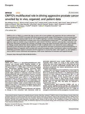 CRIPTO’s multifaceted role in driving aggressive prostate cancer unveiled by in vivo, organoid, and patient data