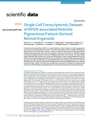 Single-Cell Transcriptomic Dataset of RPGR-associated Retinitis Pigmentosa Patient-Derived Retinal Organoids