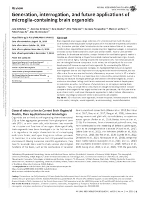Generation, interrogation, and future applications of microglia-containing brain organoids