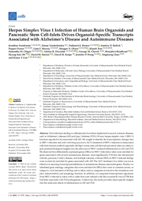 Herpes Simplex Virus 1 Infection of Human Brain Organoids and Pancreatic Stem Cell-Islets Drives Organoid-Specific Transcripts Associated with Alzheimer's Disease and Autoimmune Diseases