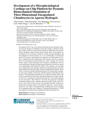 Development of a Microphysiological Cartilage-on-Chip Platform for Dynamic Biomechanical Stimulation of Three-Dimensional Encapsulated Chondrocytes in Agarose Hydrogelsage‐on‐Chip Platform for Dynamic (1)